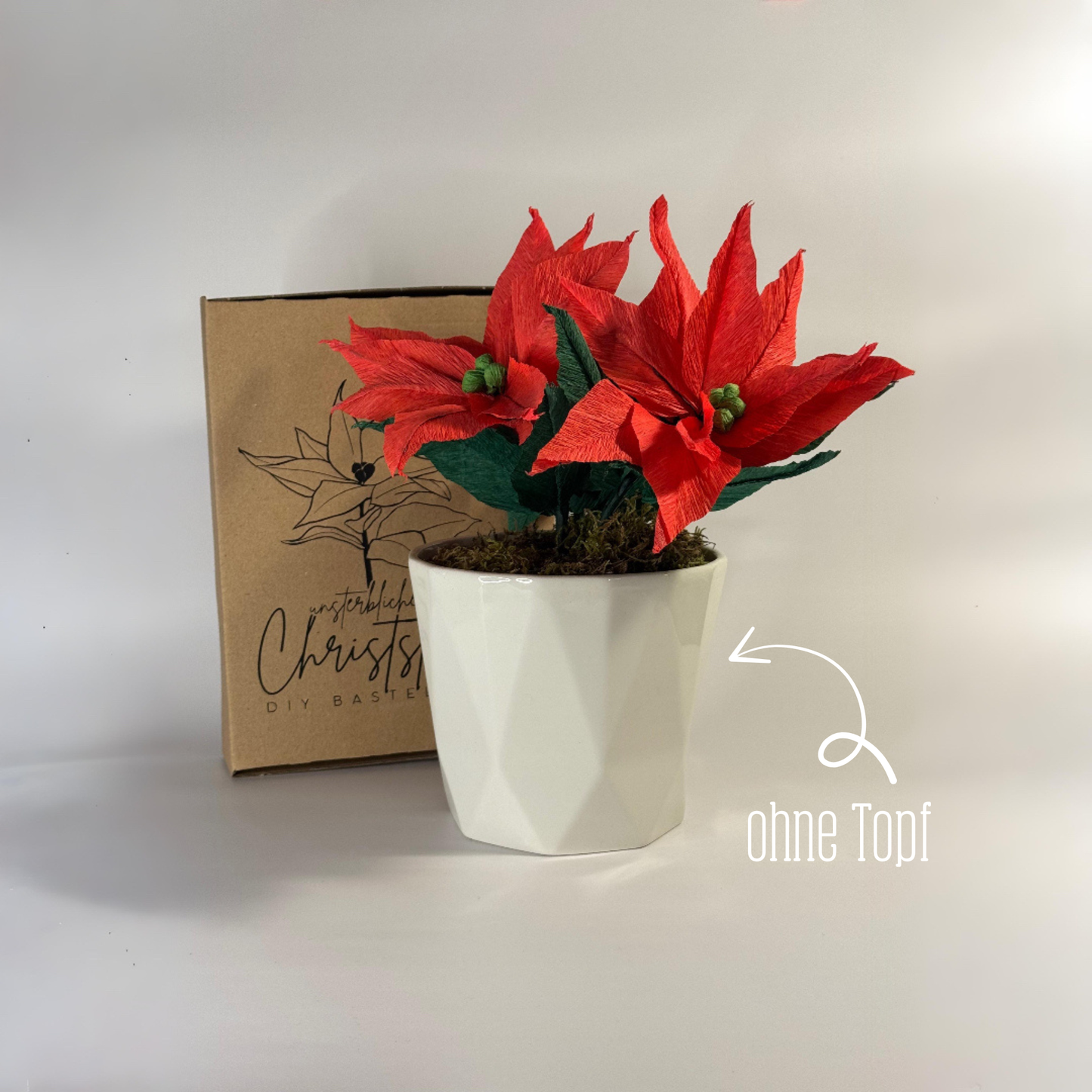 DIY Bastelset Christstern