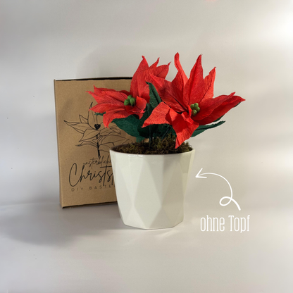 DIY Bastelset Christstern