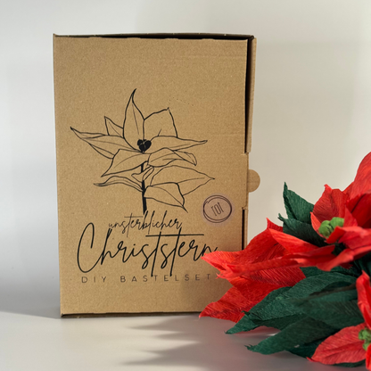 DIY Bastelset Christstern