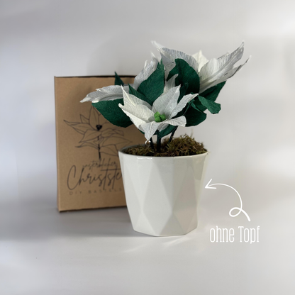 DIY Bastelset Christstern