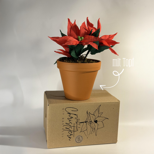 DIY Bastelset Christstern mit Topf