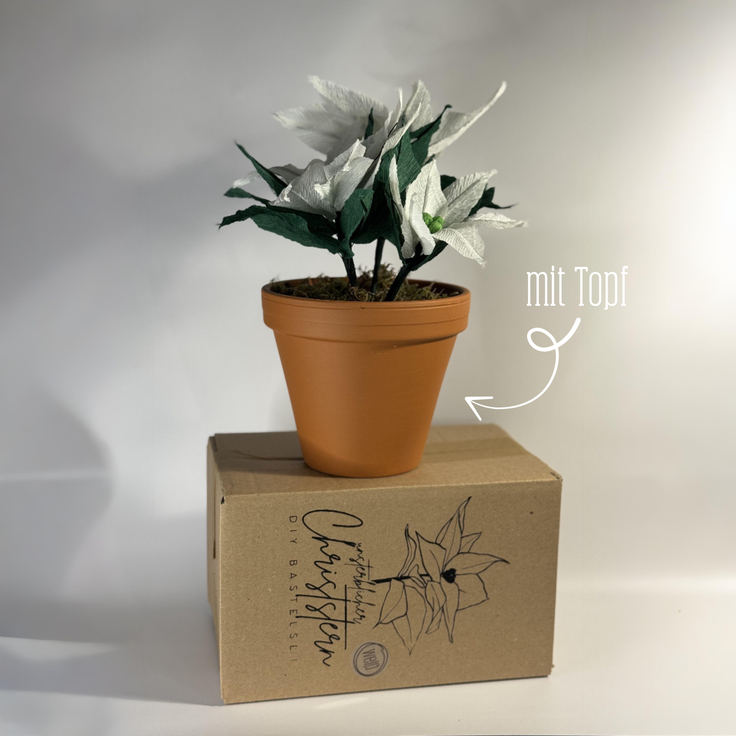 DIY Bastelset Christstern mit Topf