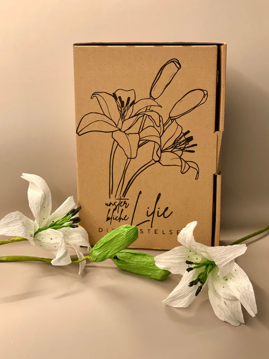 DIY Bastelset unsterbliche Lilie