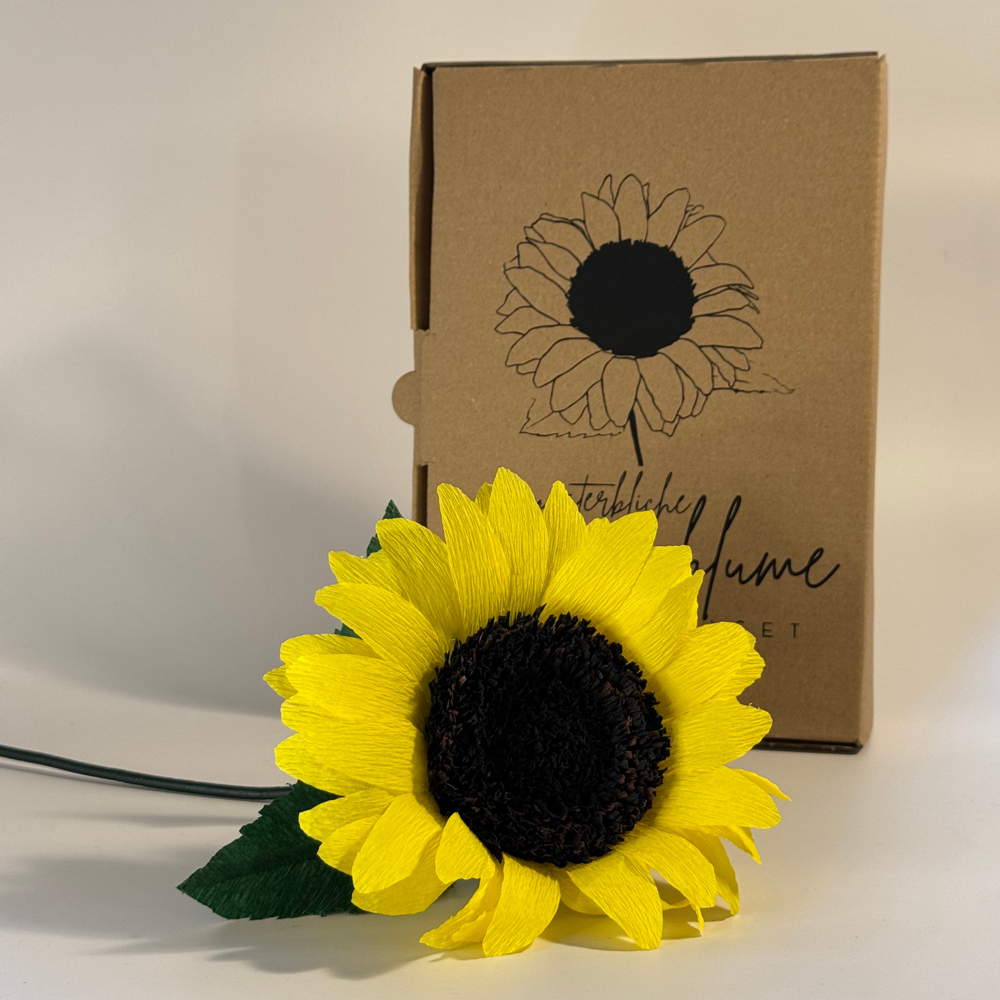 DIY Bastelset unsterbliche Sonnenblume