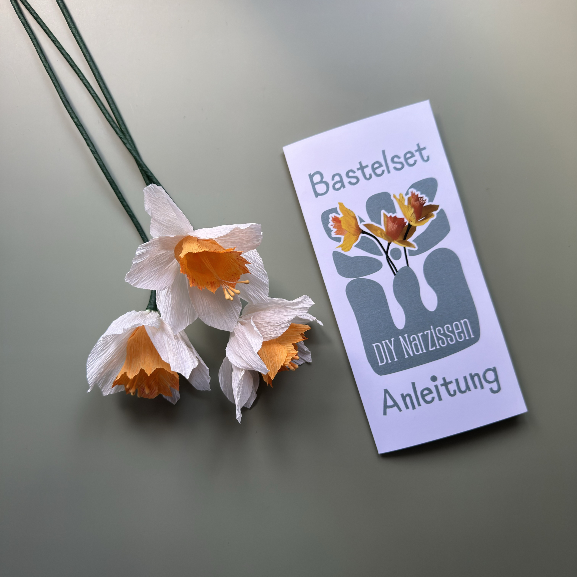 DIY Bastelset Narzisse von Woodwormis World – Anleitung mit fertigen Krepppapier-Narzissen in weiß