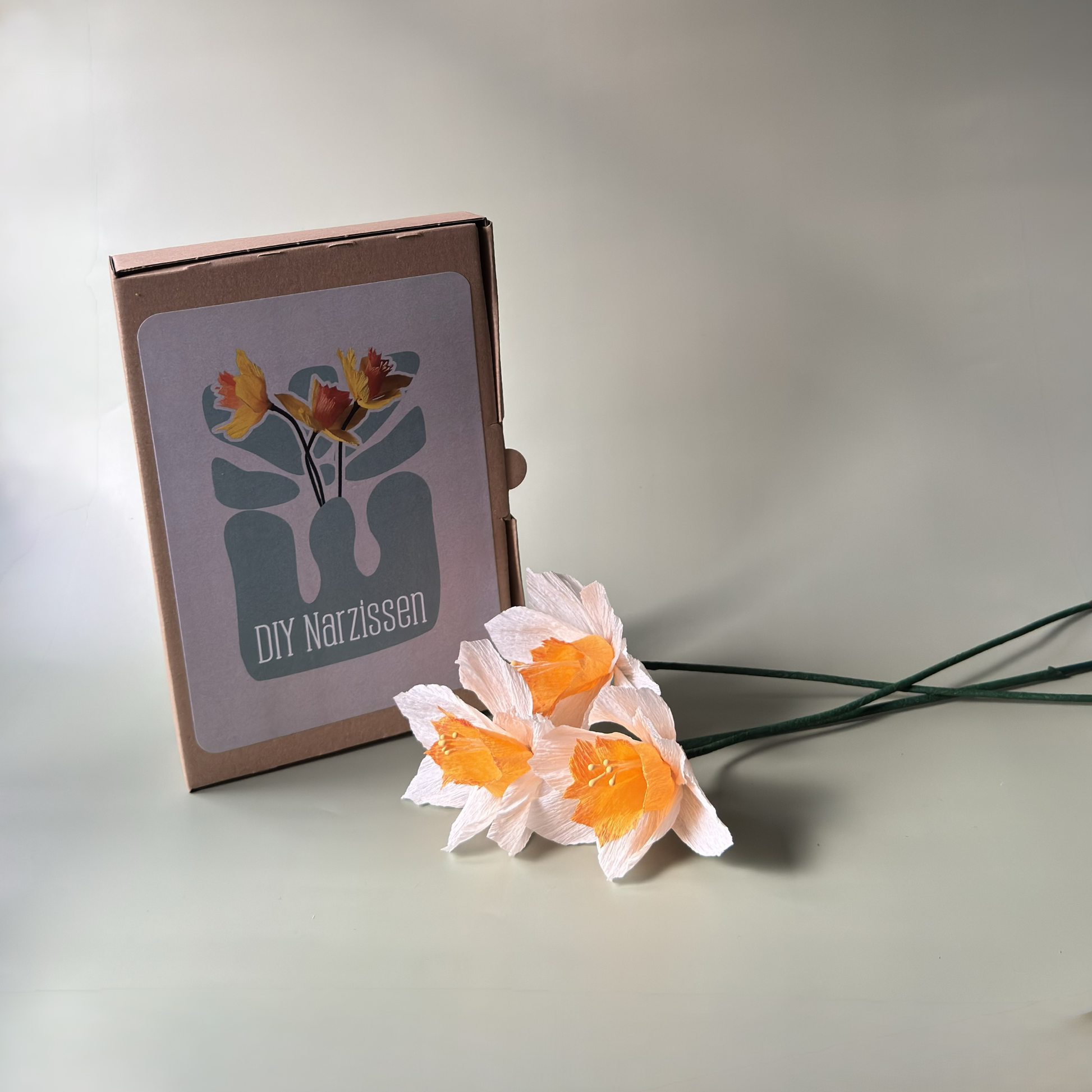 DIY Bastelset Narzisse von Woodwormis World – Verpackung mit fertigen Krepppapier-Narzissen in weiß