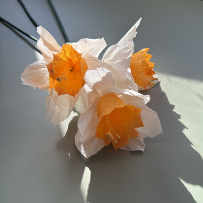 DIY Bastelset Narzissen weiß orange im Detail